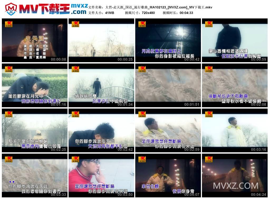 大哲-走天涯_国语_流行歌曲_MA102123